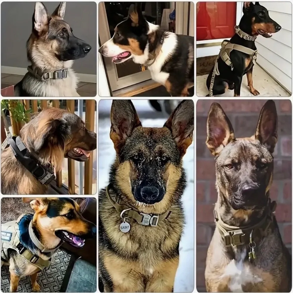 Tactical Khaki Dog Collar with Metal Buckle